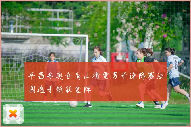 平昌冬奥会高山滑雪男子速降赛法国选手斩获金牌