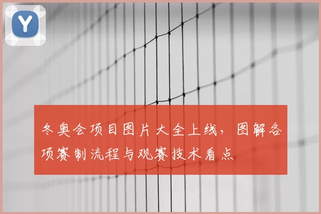 冬奥会项目图片大全上线，图解各项赛制流程与观赛技术看点