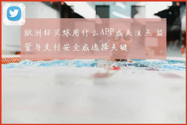 欧洲杯买球用什么APP成关注点 监管与支付安全成选择关键