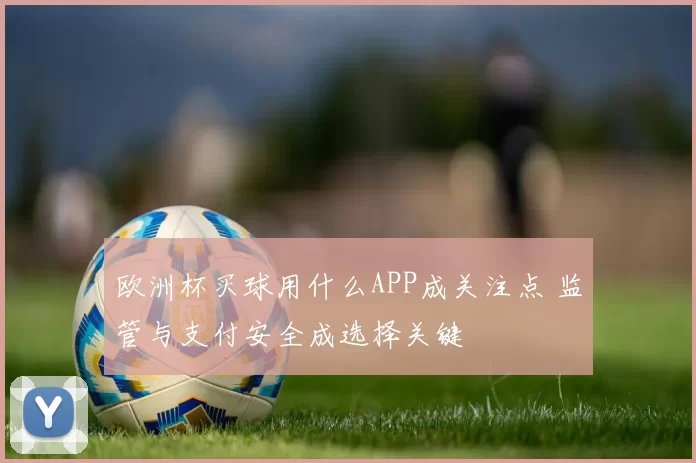欧洲杯买球用什么APP成关注点 监管与支付安全成选择关键