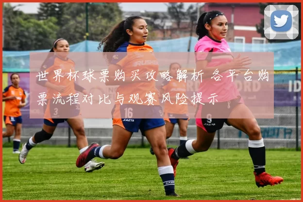 世界杯球票购买攻略解析 各平台购票流程对比与观赛风险提示